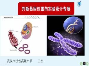 令行禁止 第2页