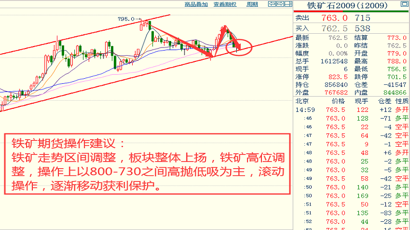 台州白肉价格走势深度解析，最新行情与趋势预测