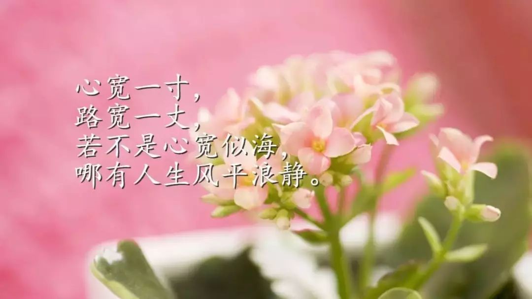 励志语录温柔图片合集，唤醒内心力量，感悟人生美好
