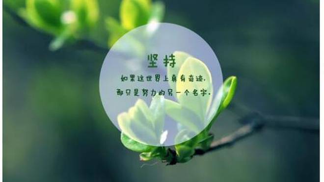 励志花束寄语，美图与你共赴美好未来