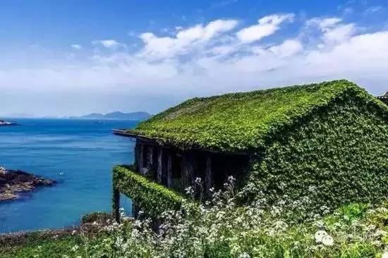 宁波至枸杞岛旅行攻略，探索绝美海岛之旅