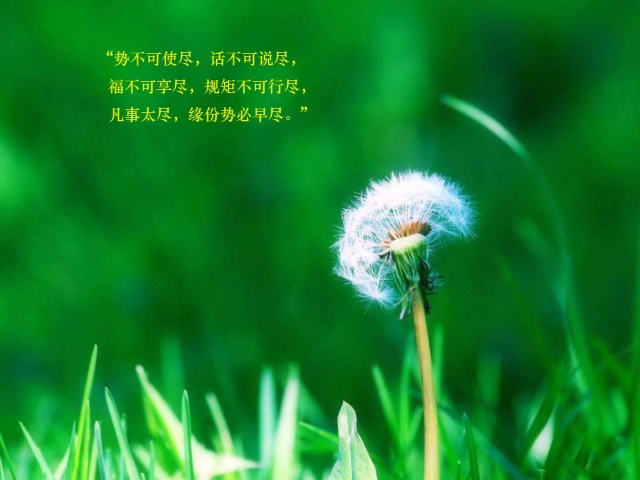 网上打印店 第45页