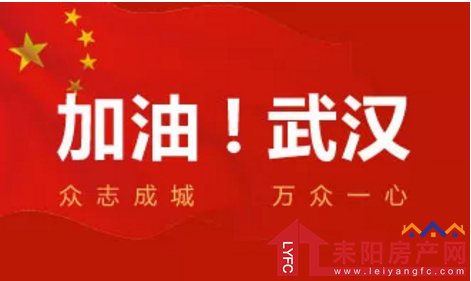 堂口今日最新消息速递