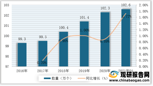 今日龙茅价格走势揭秘，市场动向与消费者关注热点