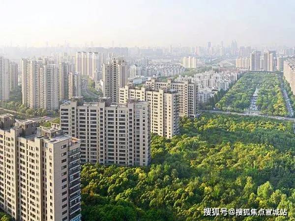 泗阳北稻价格最新动态报告，今日行情揭秘！