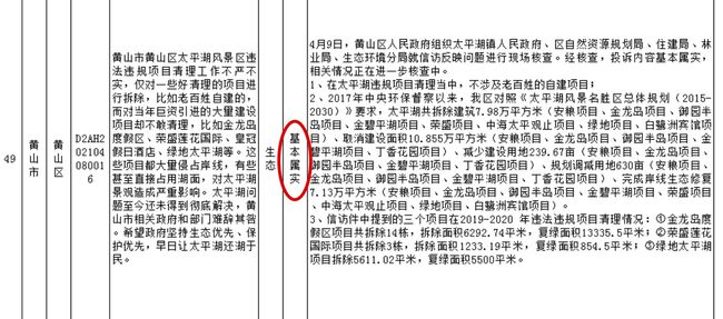 项目整改落实方案，项目整改要求 