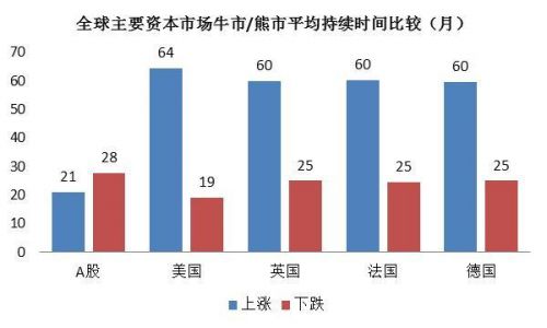 国家养老基金投资策略揭秘，股票投资、影响分析与发展展望