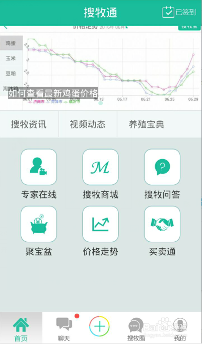 鸡蛋价格走势解析，百度搜索揭示市场动态